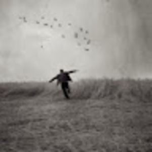 Meet your Posher, Seth